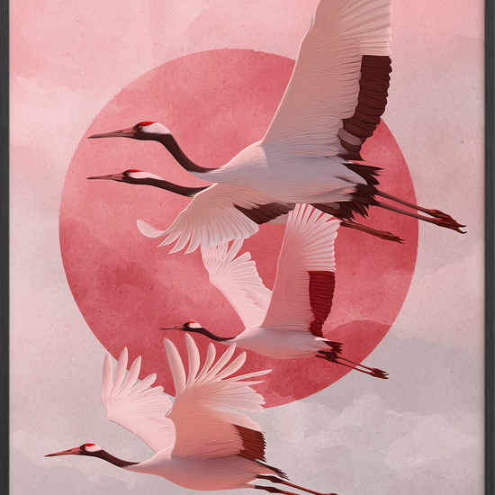 Solens sagte kald - Black Frame, No Border