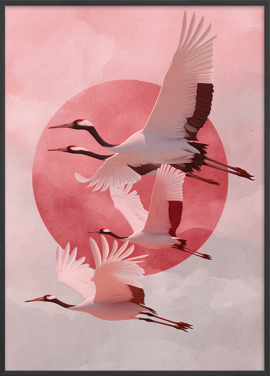 Solens sagte kald - Black Frame, No Border