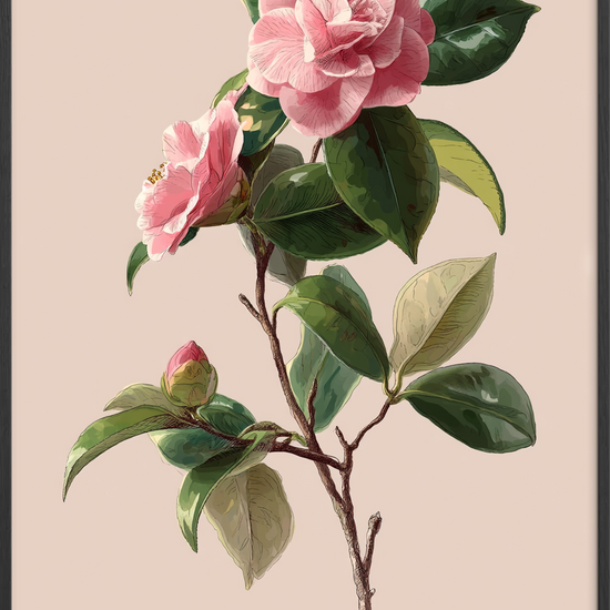 Sus af silke - Black Frame, No Border