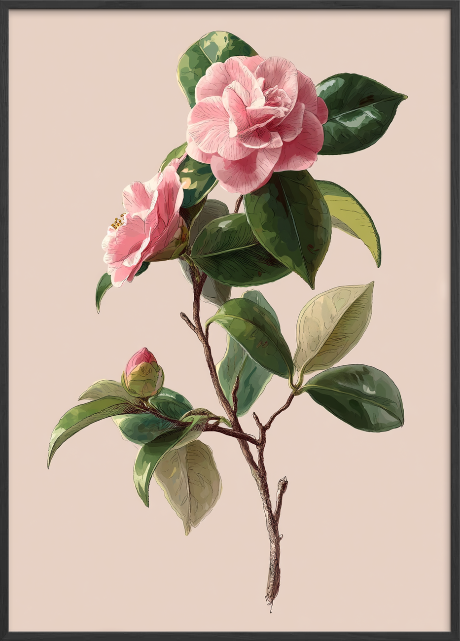 Sus af silke - Black Frame, No Border