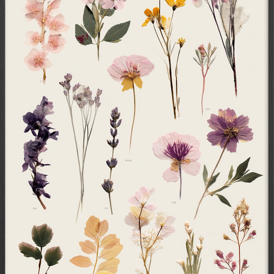 Hvisken fra tørret flora - Black Frame, No Border