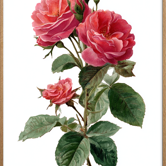 Duften af længsel - Oak Frame, No Border