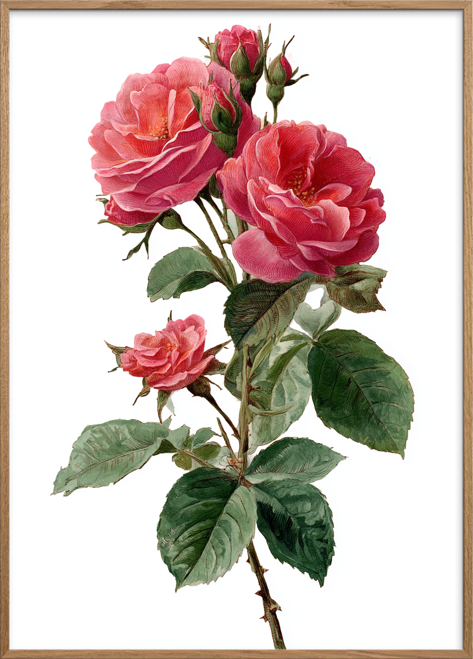 Duften af længsel - Oak Frame, No Border