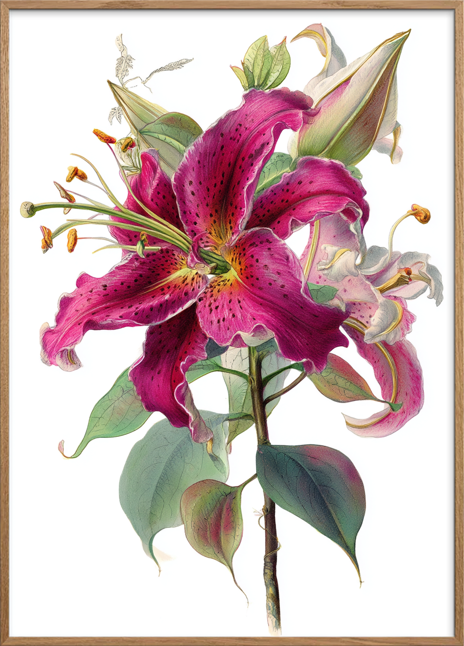 Hviskende sødme i blomst - Oak Frame, No Border