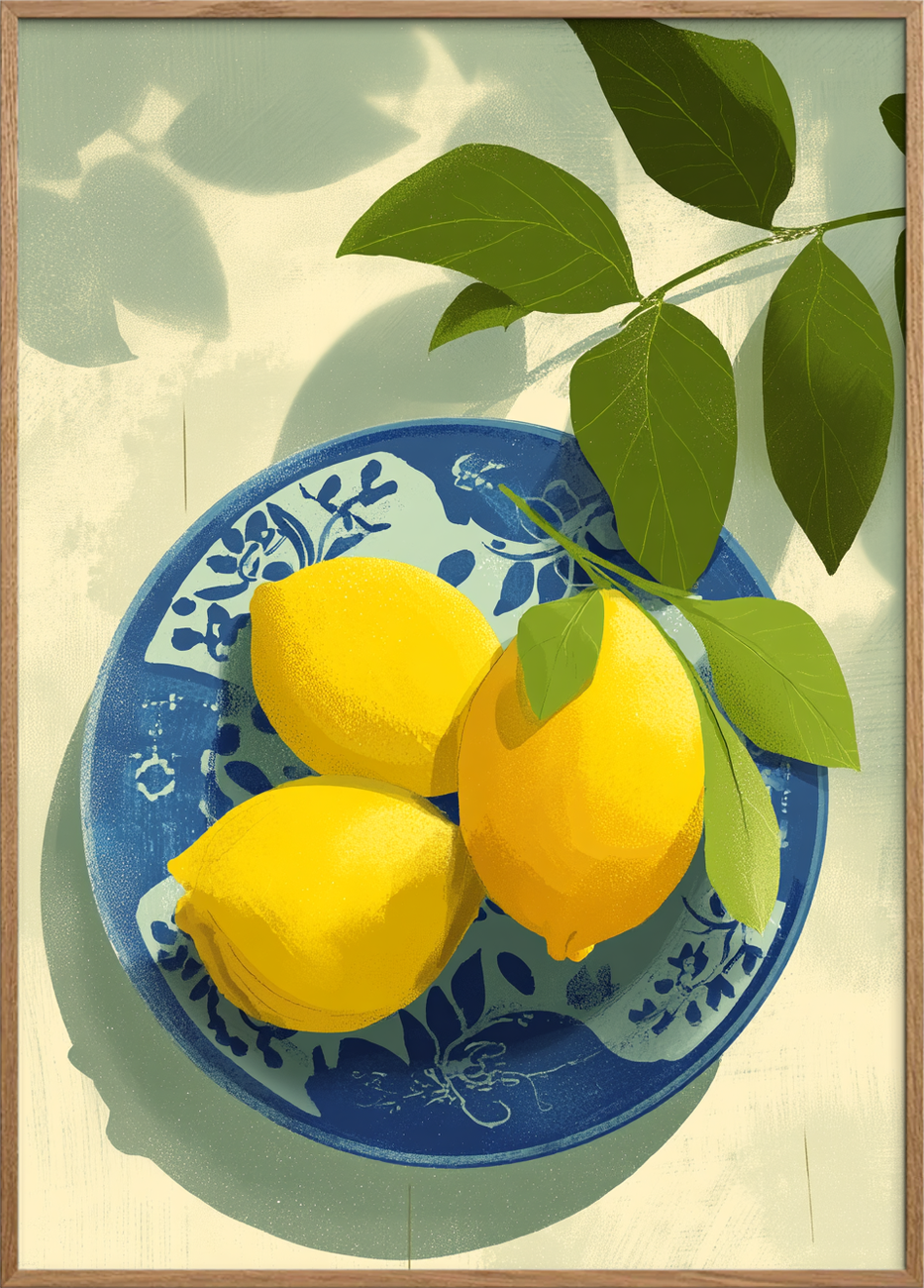 Solens syrlige melodi - Oak Frame, No Border