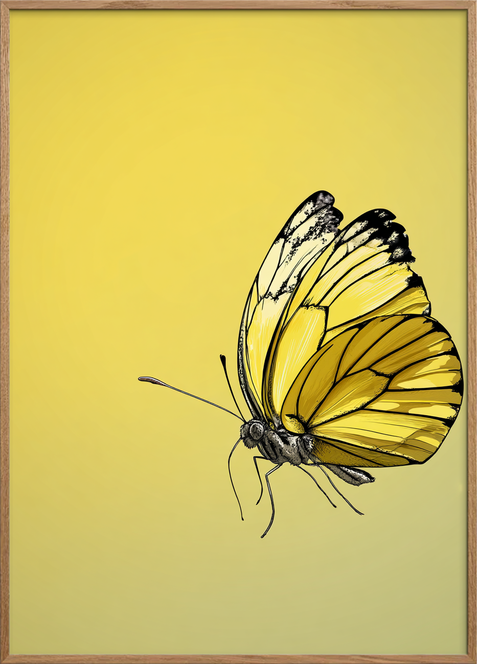 Vingernes honningduft - Oak Frame, No Border