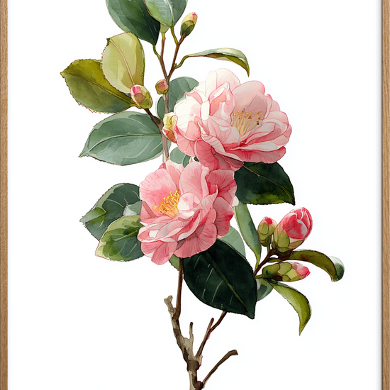 Silkesus i morgenlys - Oak Frame, No Border