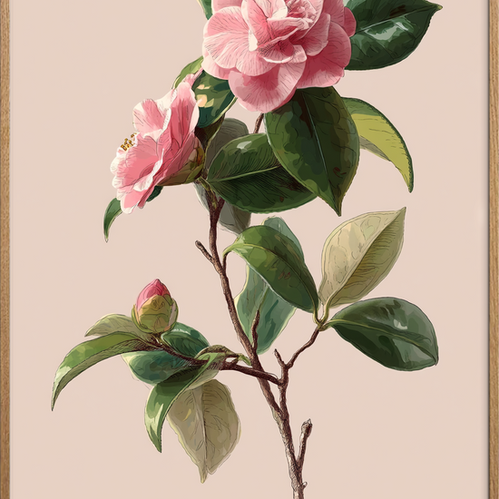 Sus af silke - Oak Frame, No Border