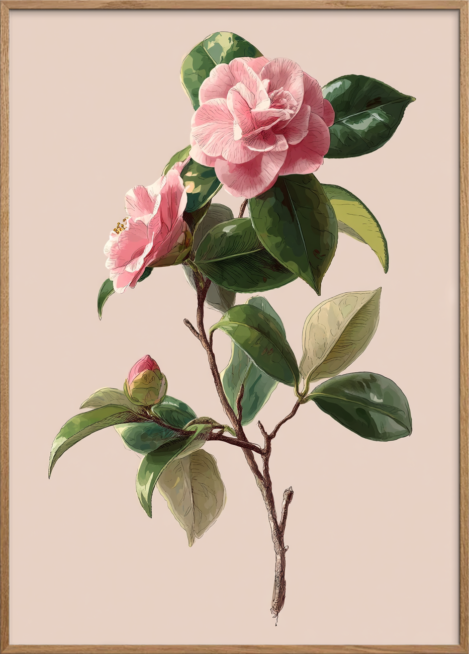 Sus af silke - Oak Frame, No Border