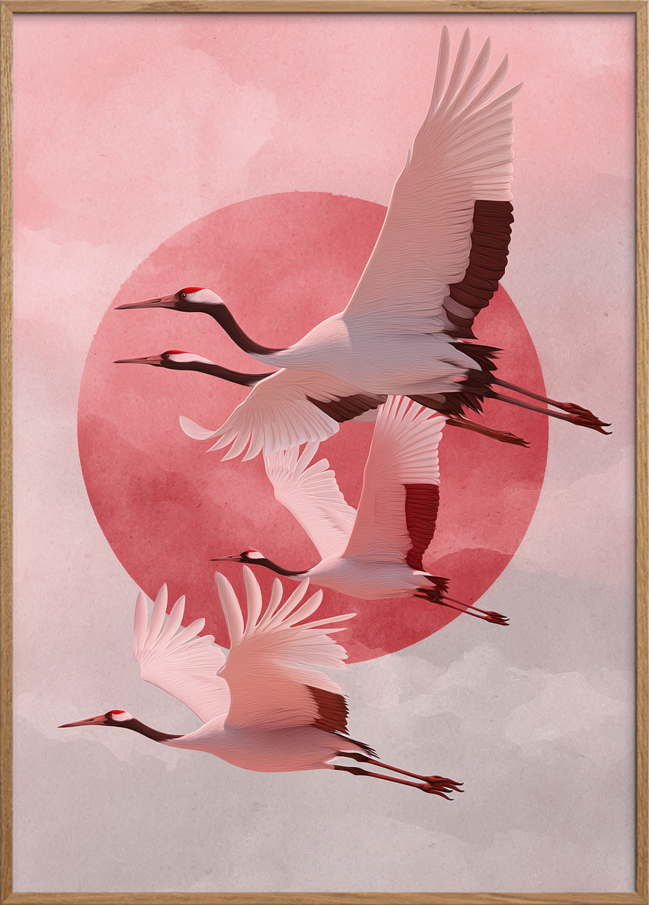 Solens sagte kald - Oak Frame, No Border