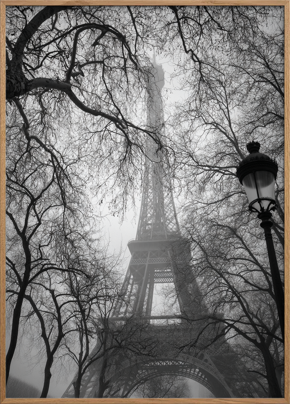 Tårnets dæmpede hvisken - Oak Frame, No Border