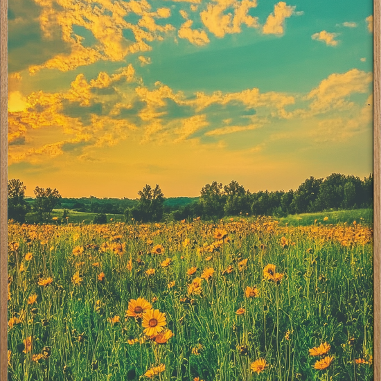 Sommerens store indånding - Oak Frame, No Border